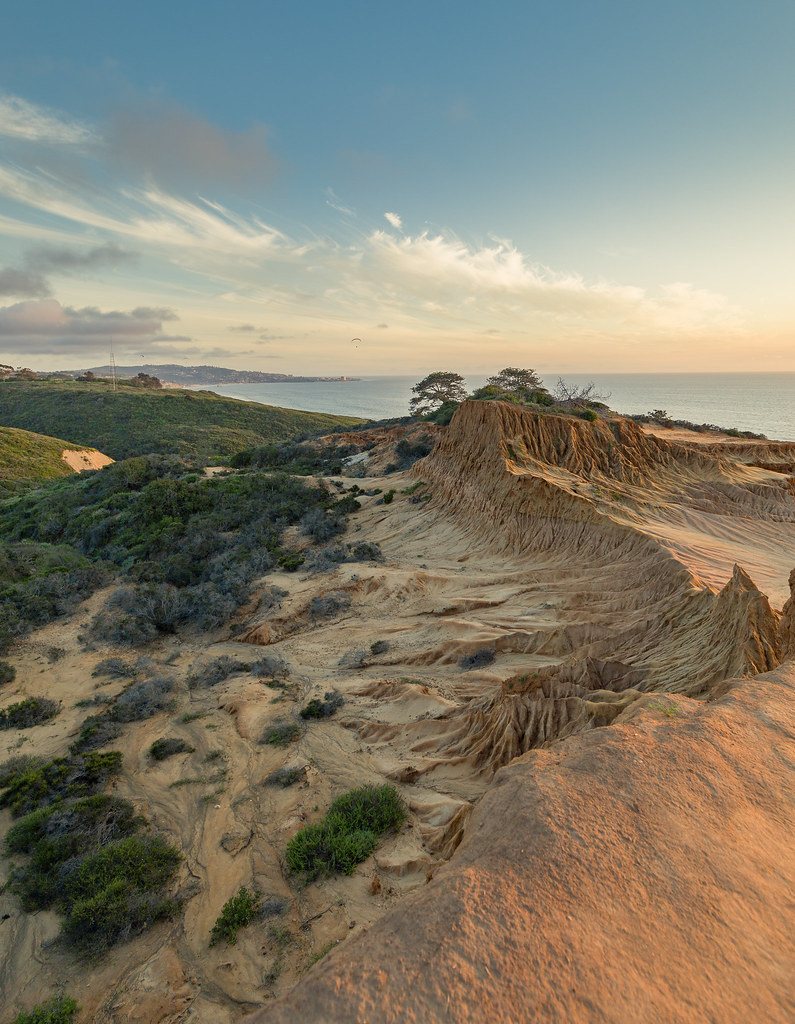 Torrey Pines thumbnail